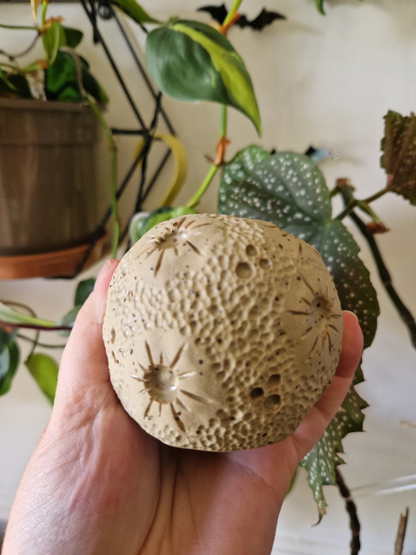 Serpent Keeper // Speckled Moon Incense Burner