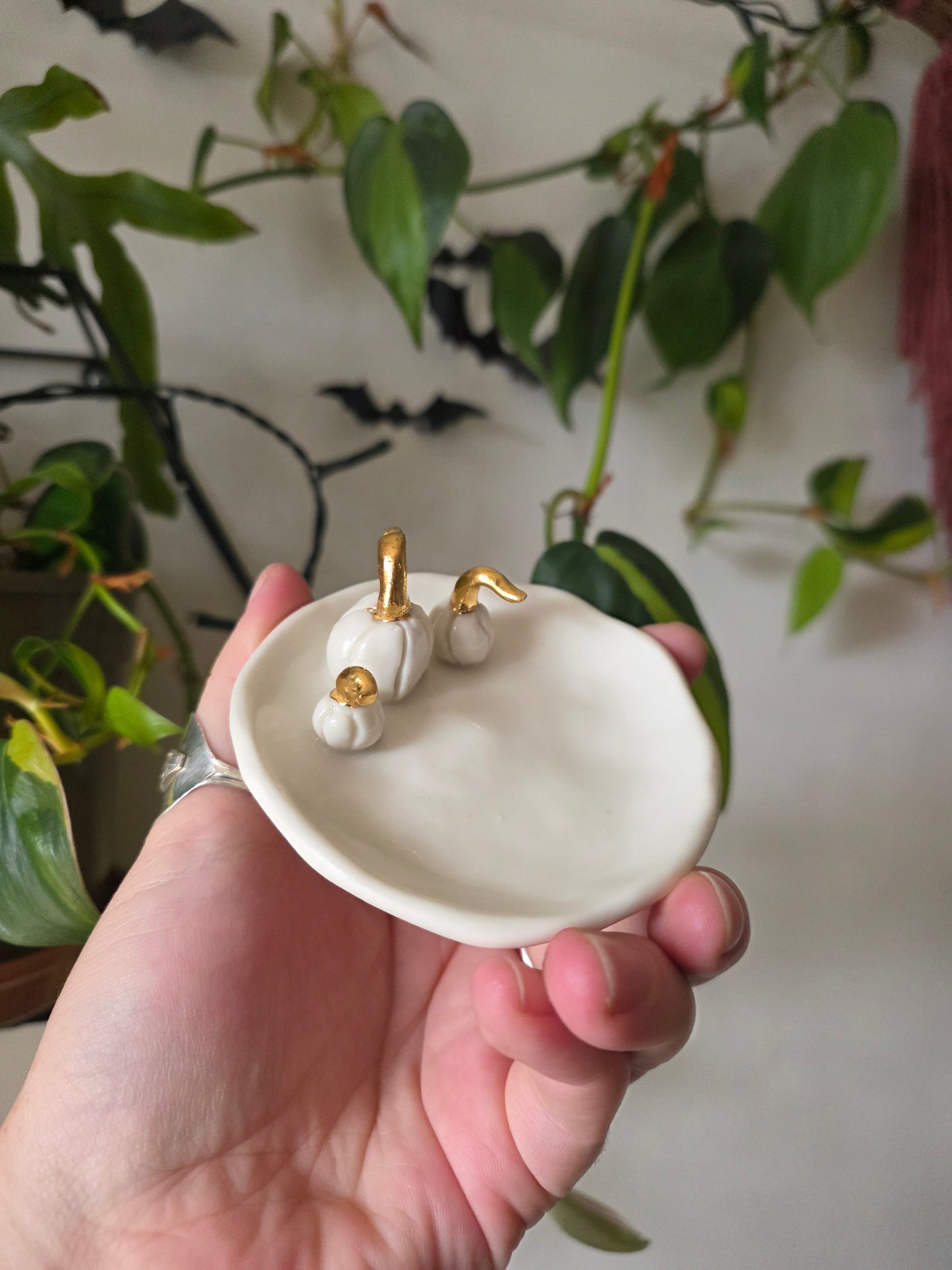 Pumpkin dish // No.2