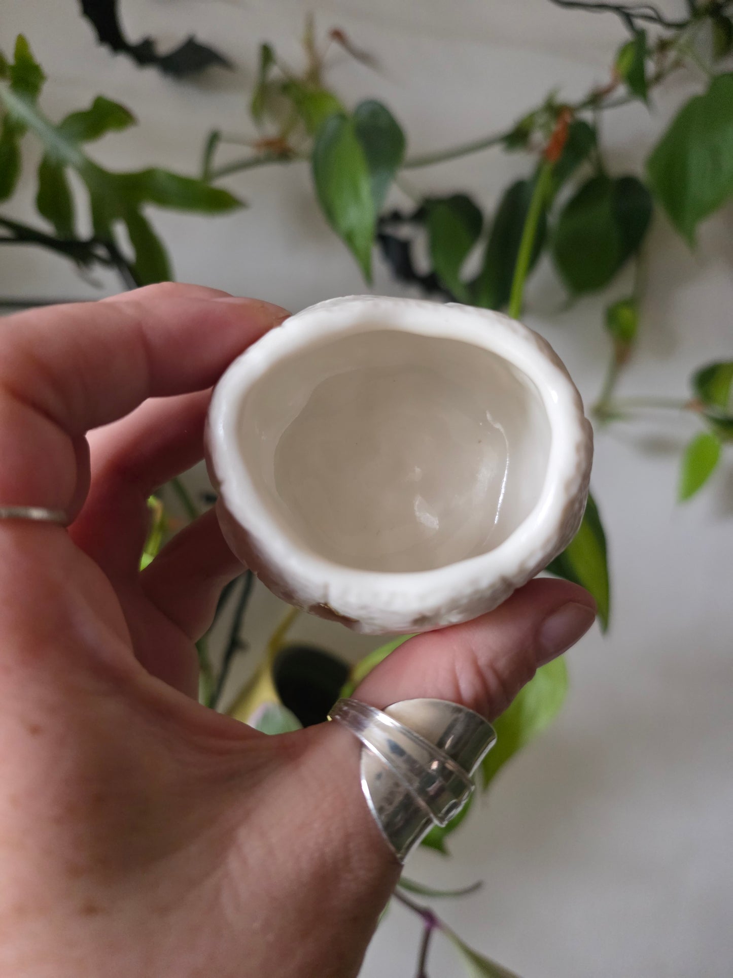 Moonkin Jack trinket pot // No.1