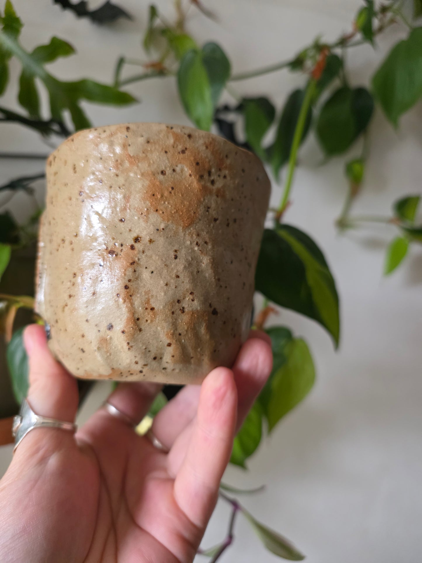 10oz Moon Mug - Speckled