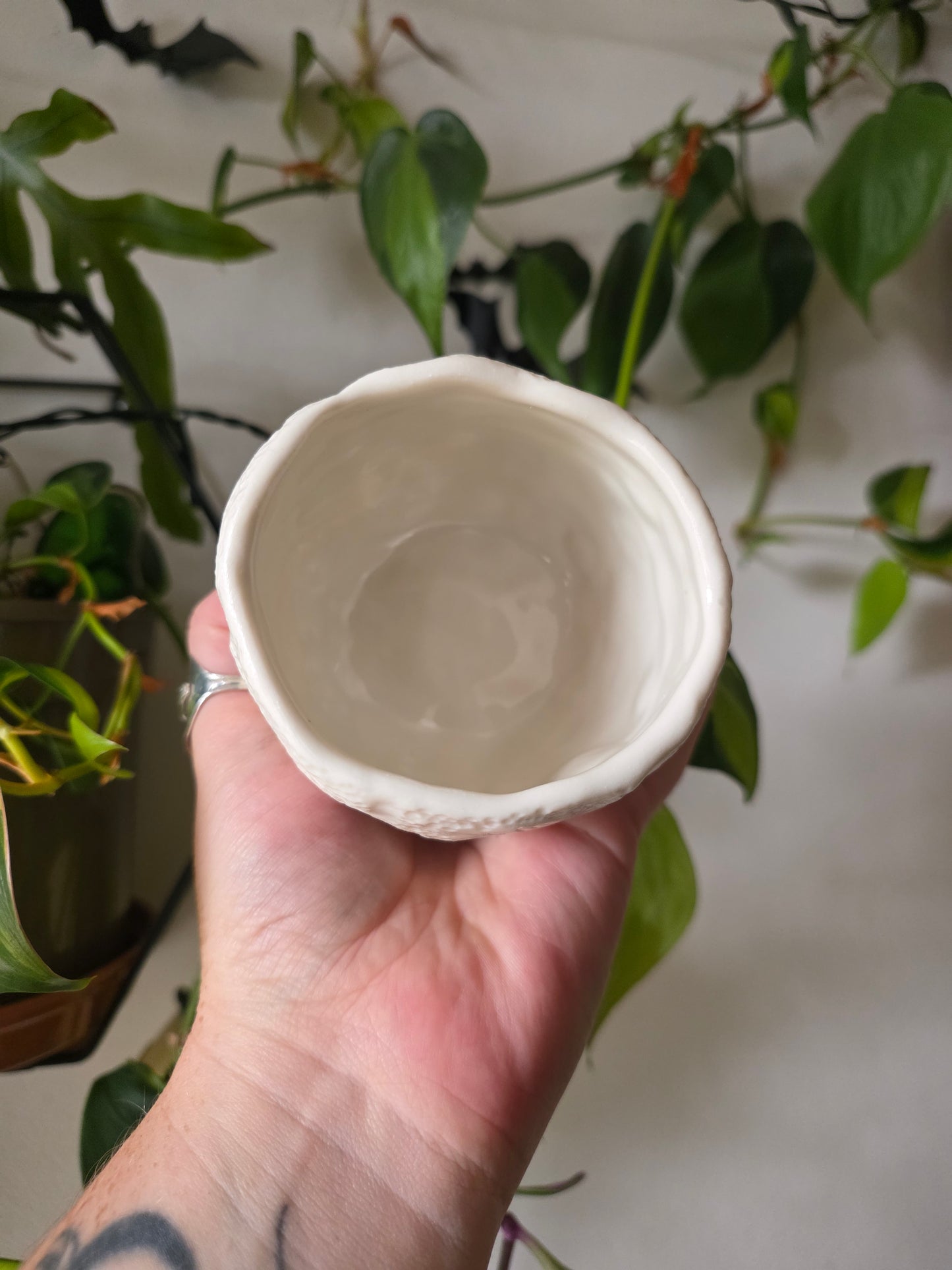 Moonkin Jack trinket pot // No.4