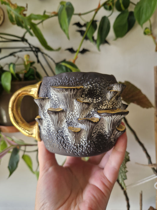 14oz Bracket Fungus Mug