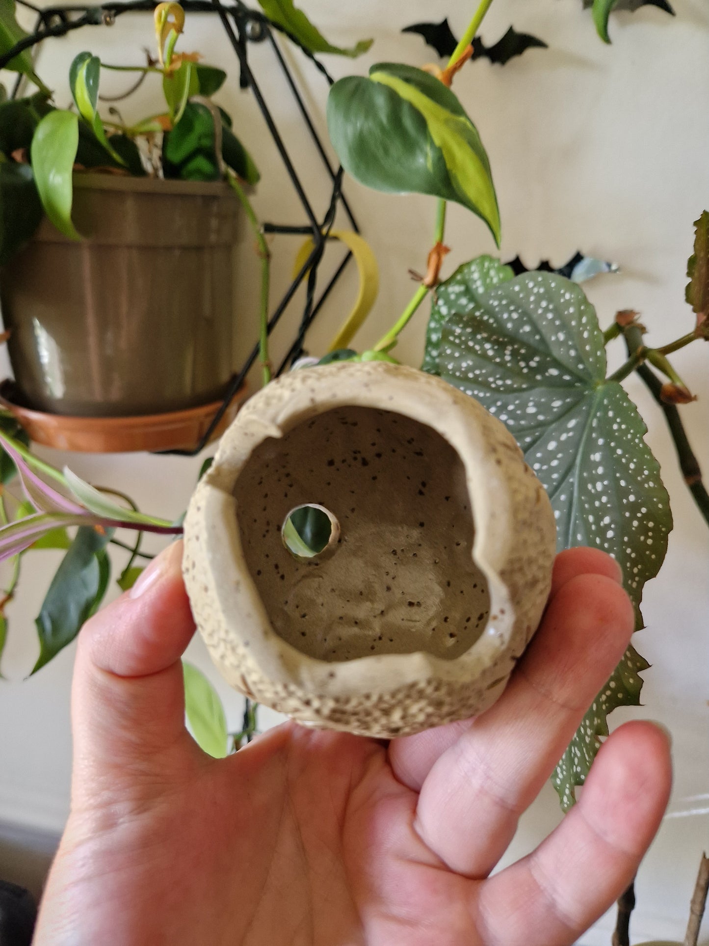 Serpent Keeper // Speckled Moon Incense Burner