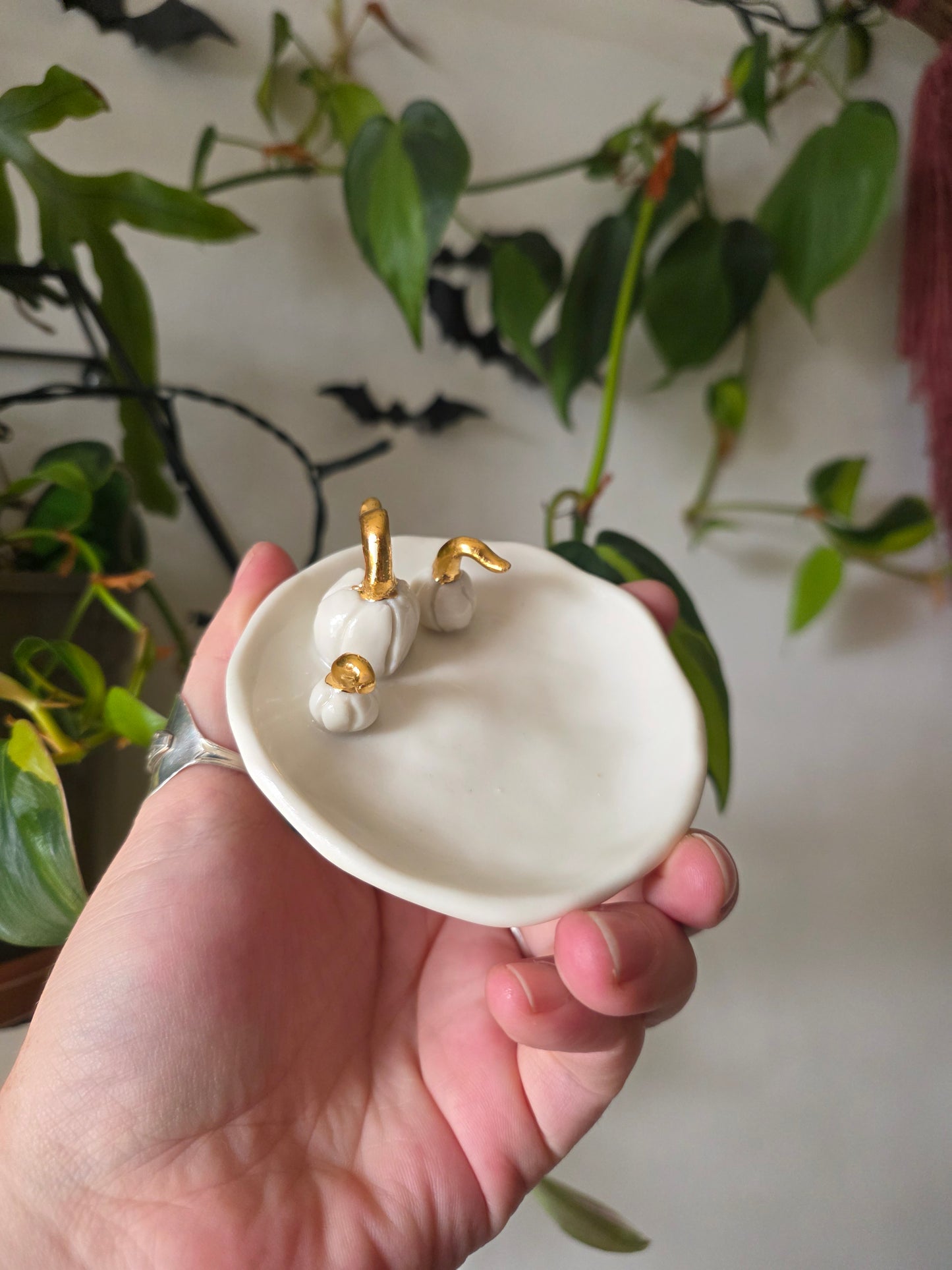 Pumpkin dish // No.2