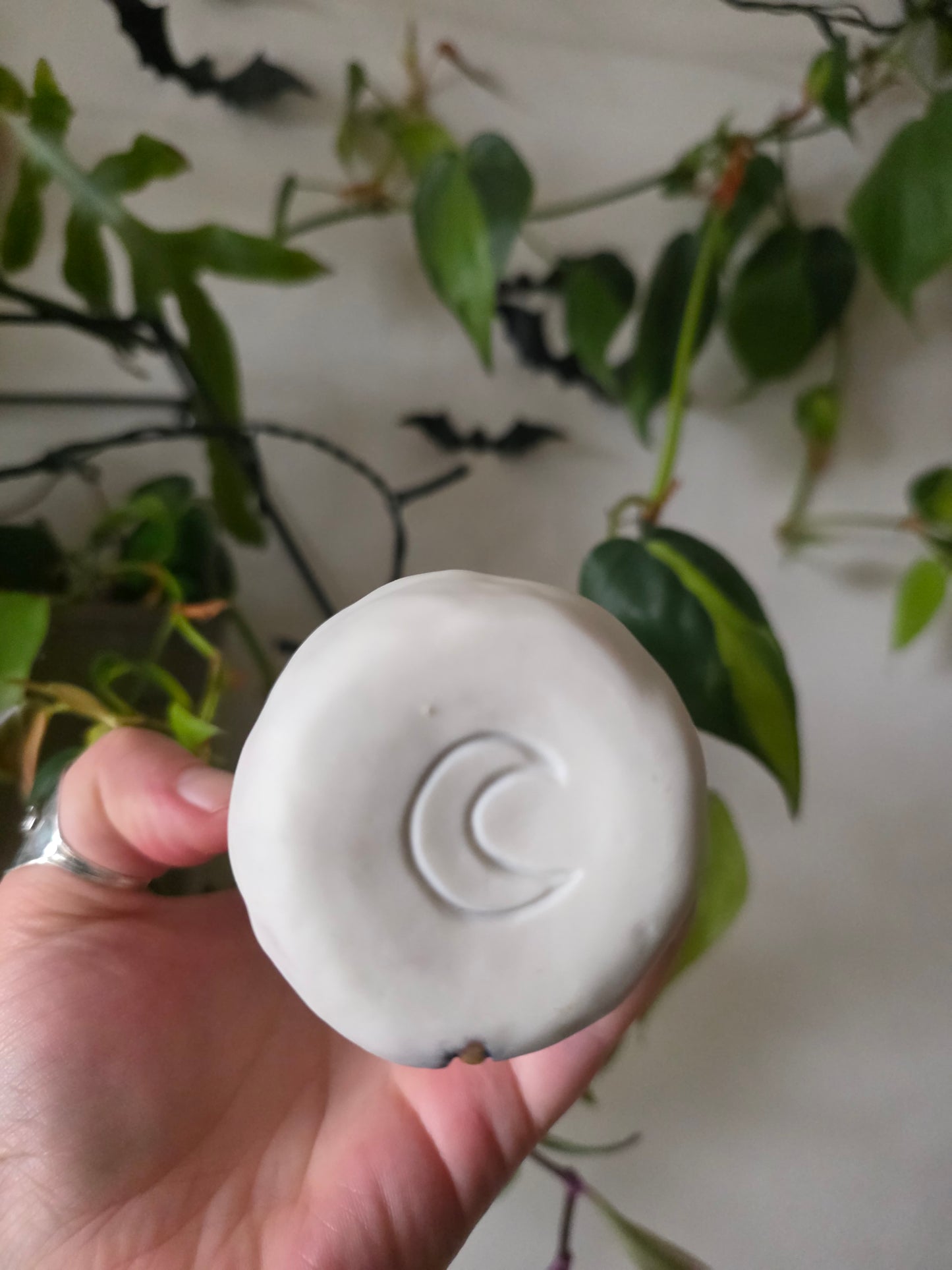 Deadly Nightshade Bud Vase