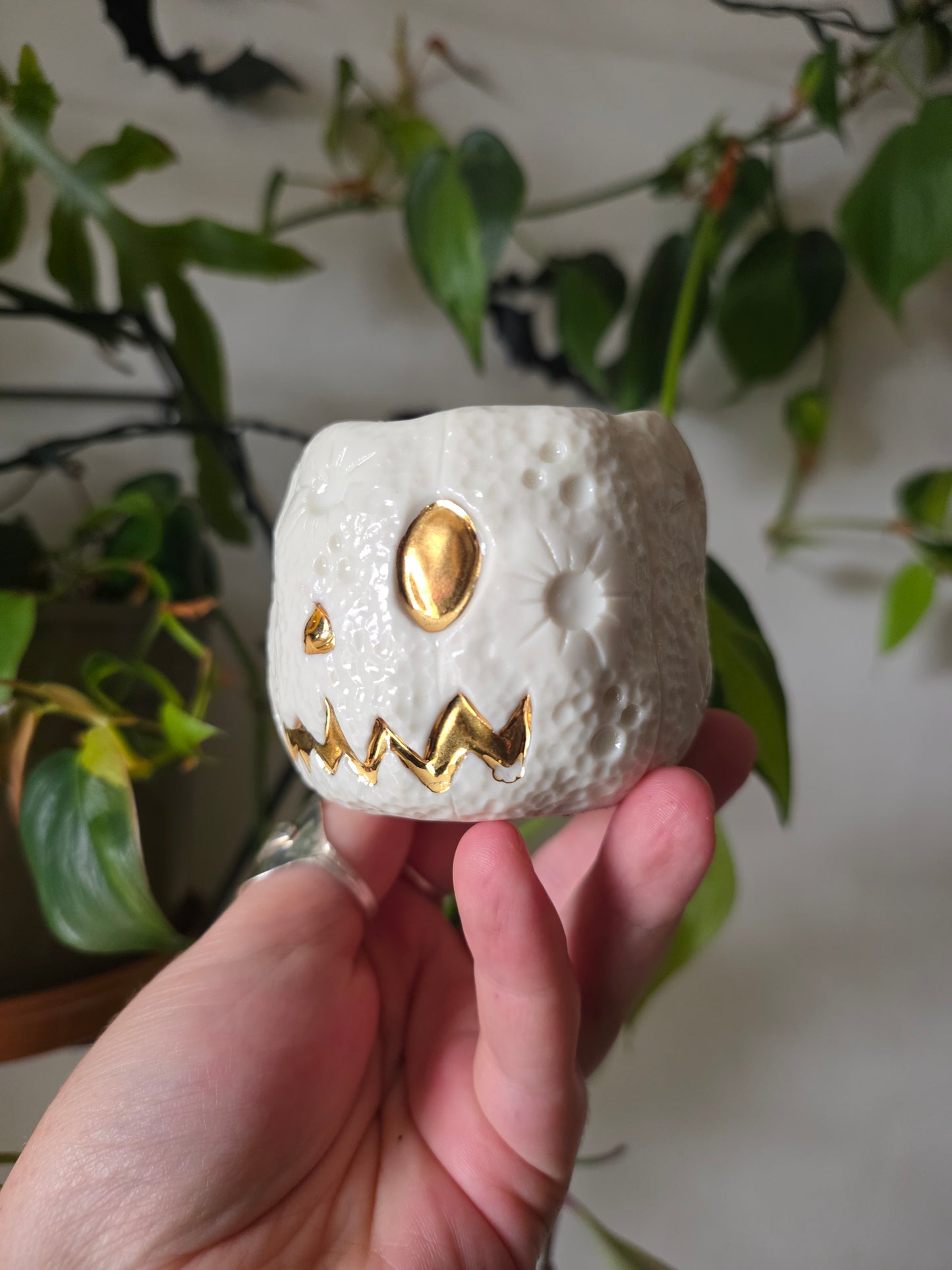 Moonkin Jack trinket pot // No.2