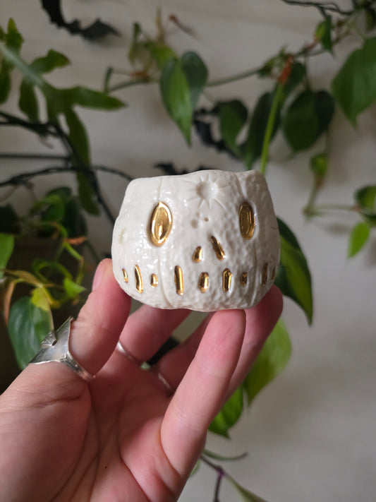 Moonkin Jack trinket pot // No.1