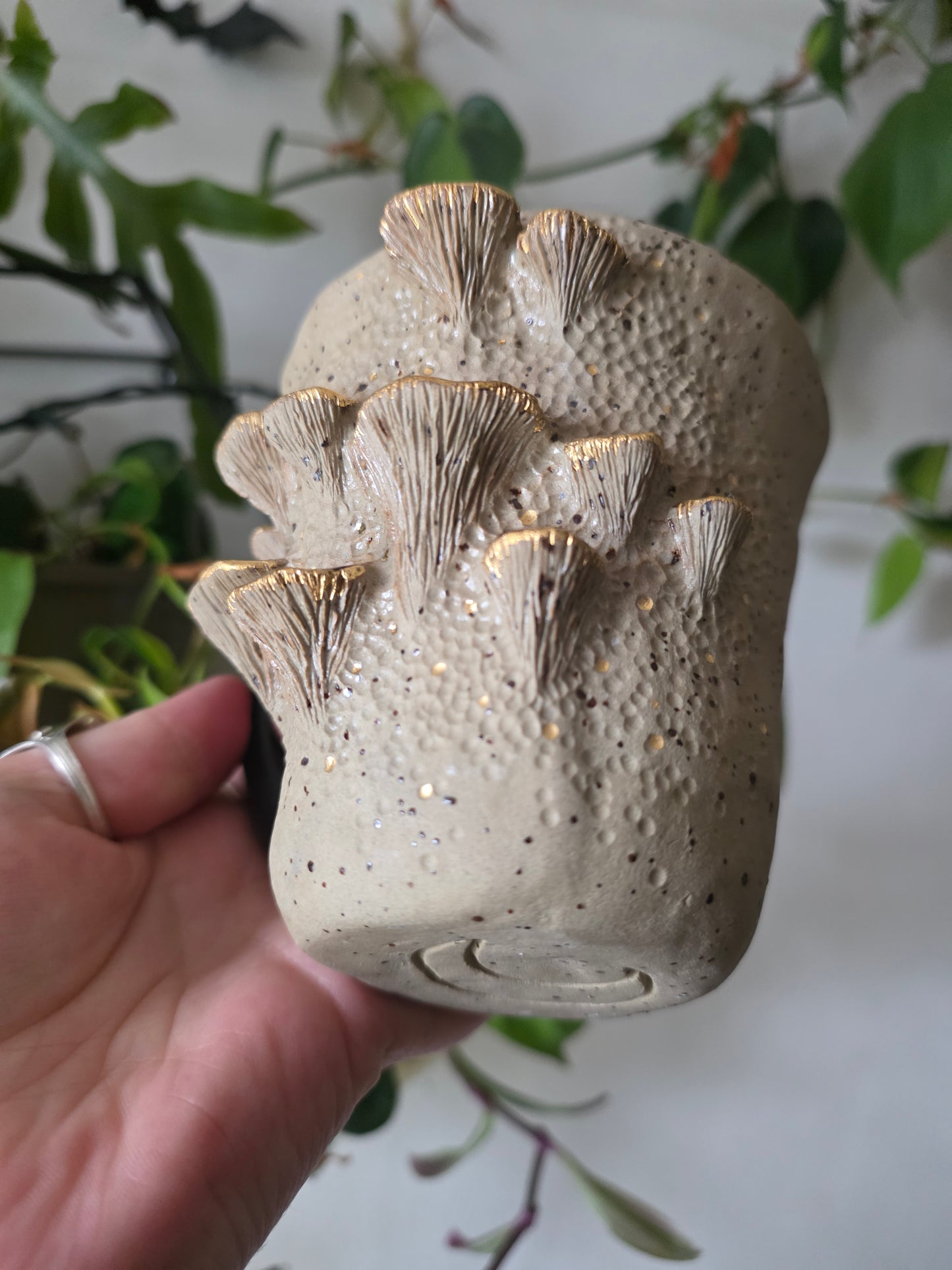 11oz Bracket Fungus Mug - Speckled