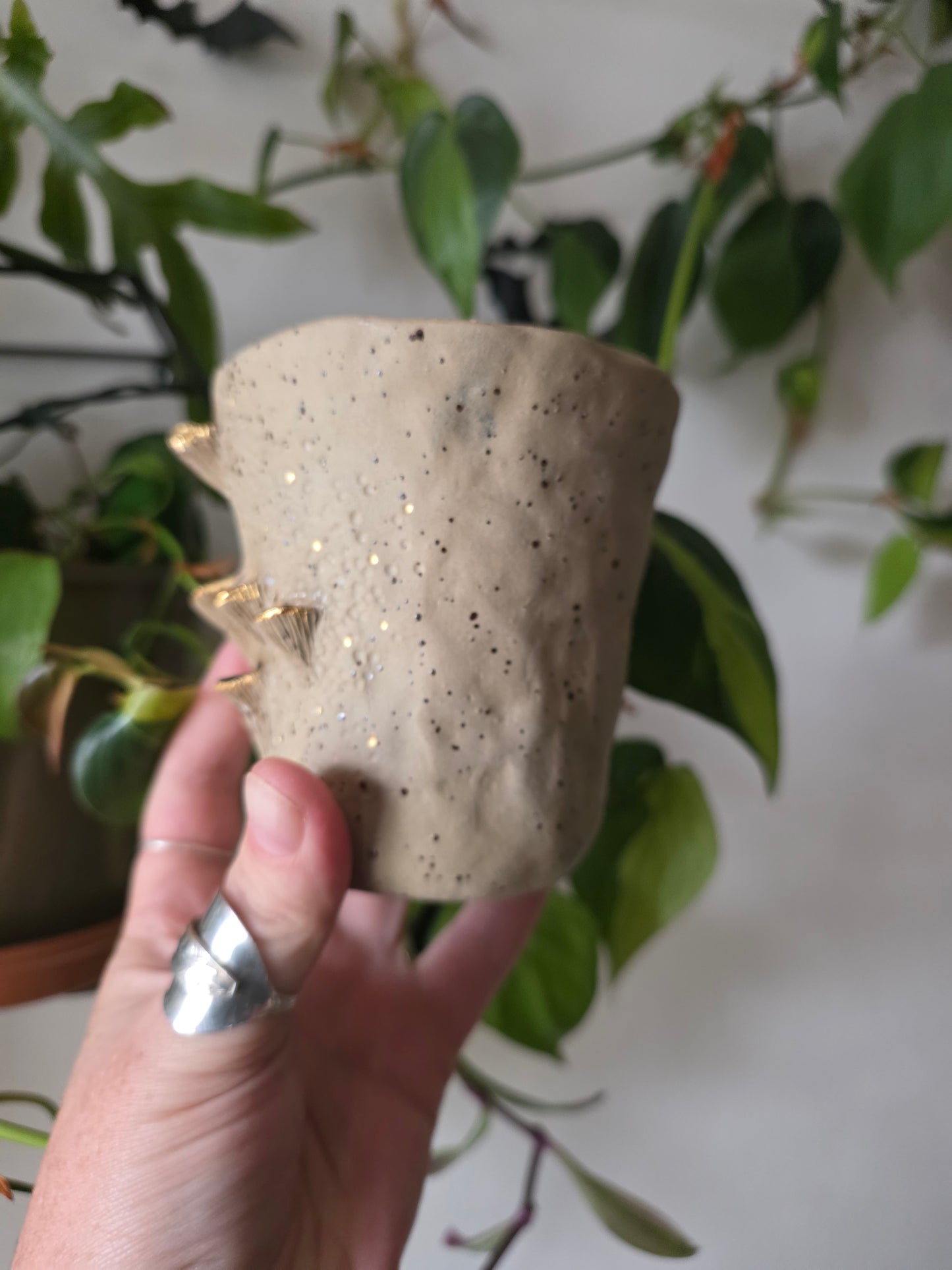 11oz Bracket Fungus Mug - Speckled