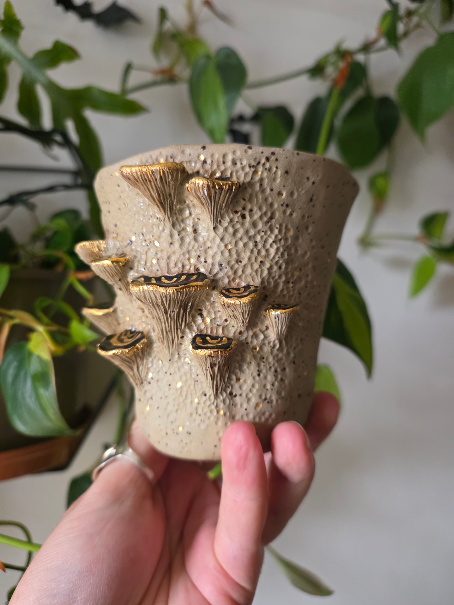 11oz Bracket Fungus Mug - Speckled