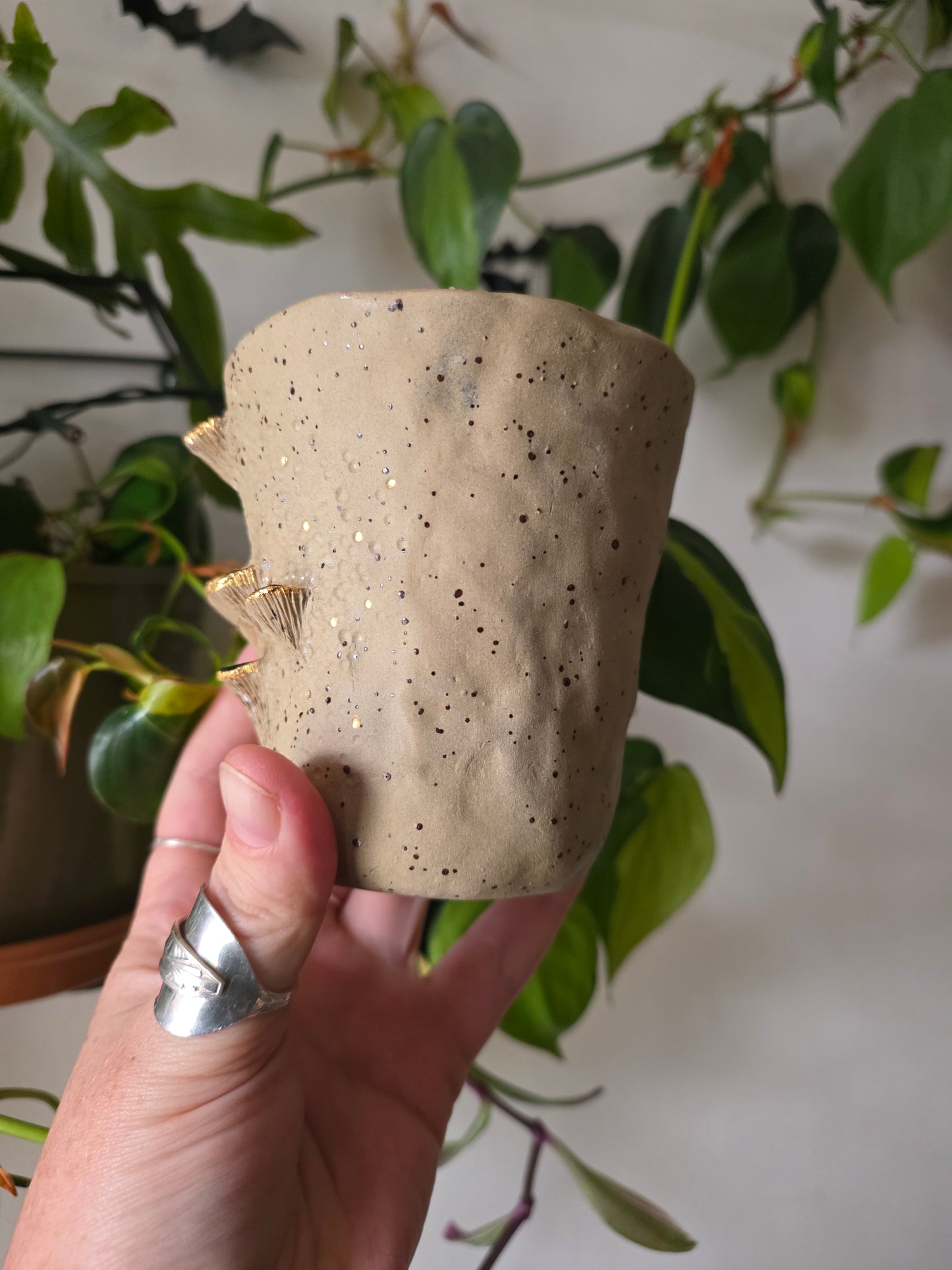 11oz Bracket Fungus Mug - Speckled