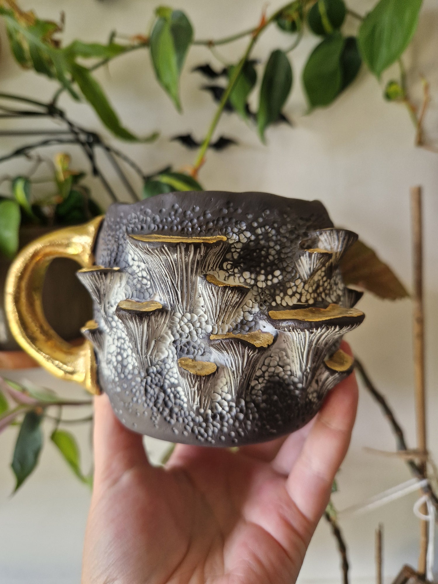Fungus Collection