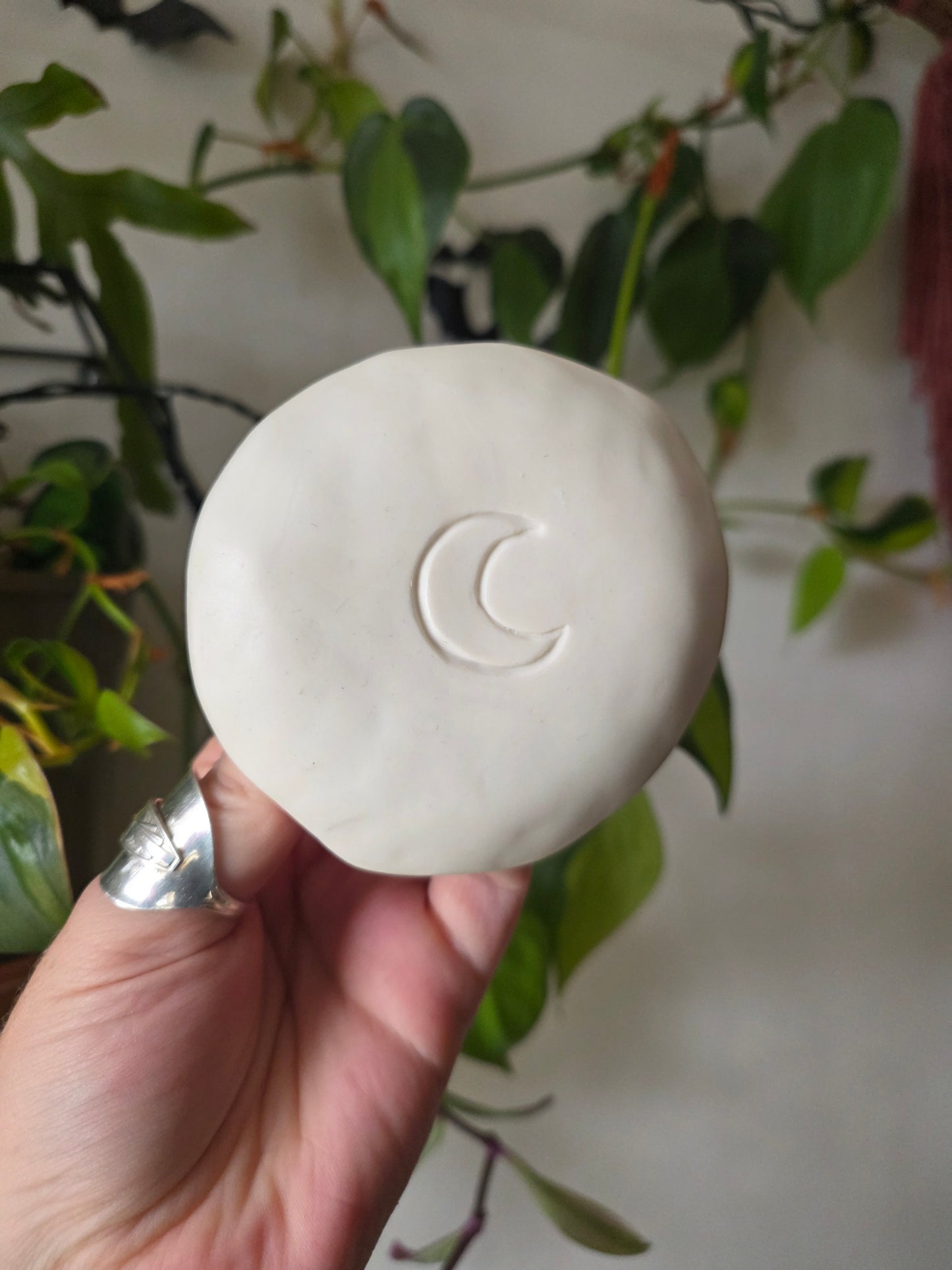 Pumpkin dish // No.2