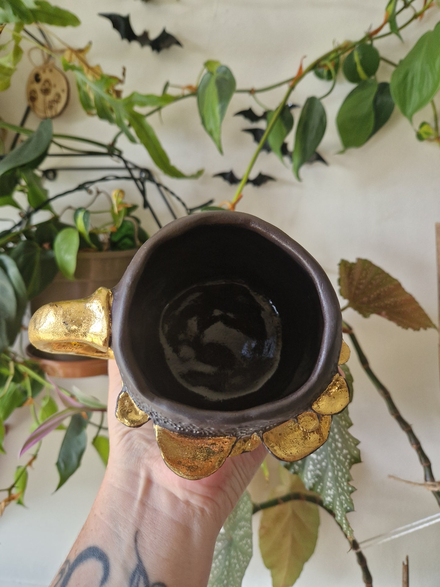 14oz Bracket Fungus Mug