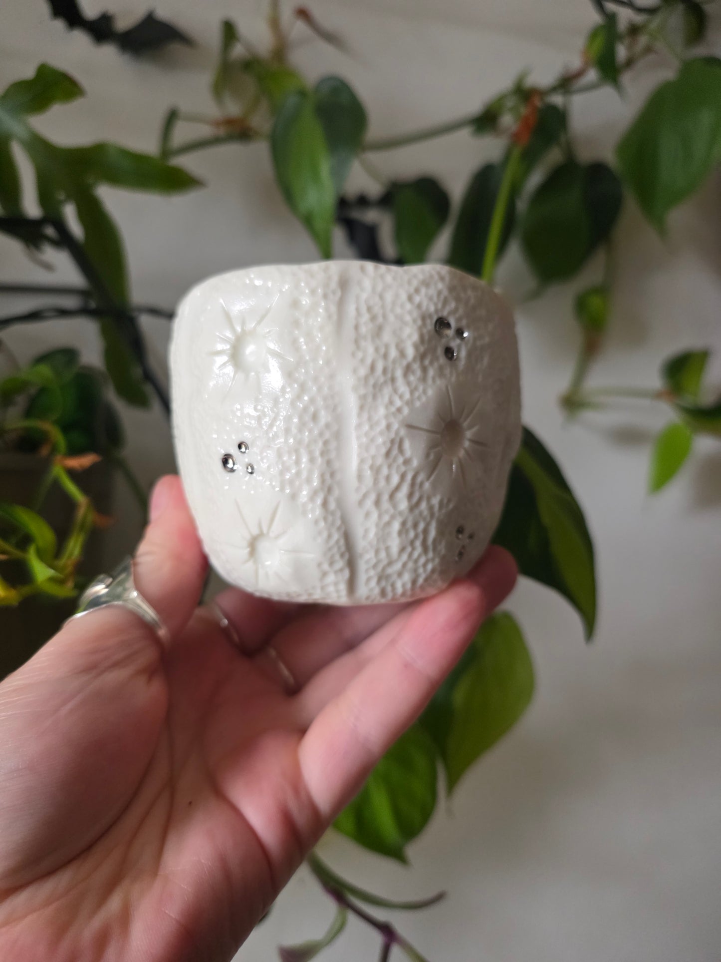 Moonkin Jack trinket pot // No.4