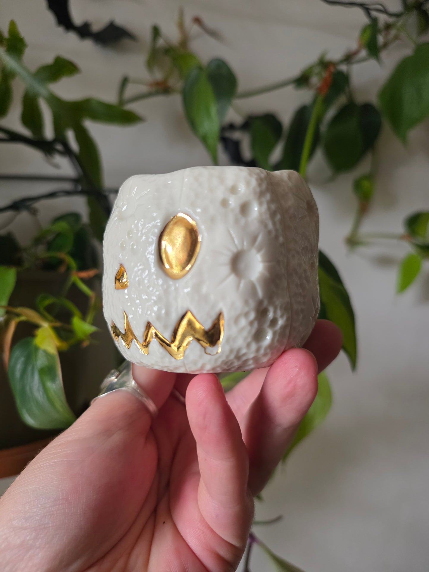Moonkin Jack trinket pot // No.2