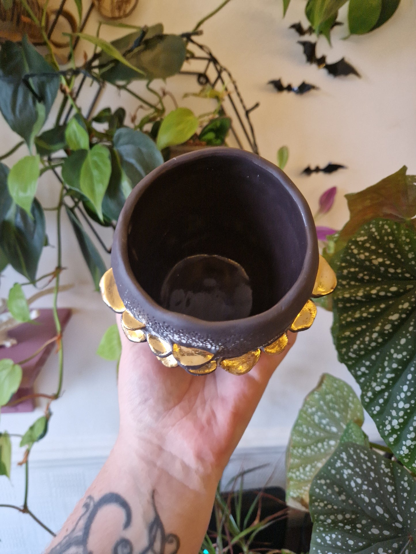 Bracket Fungus Bowl/Planter