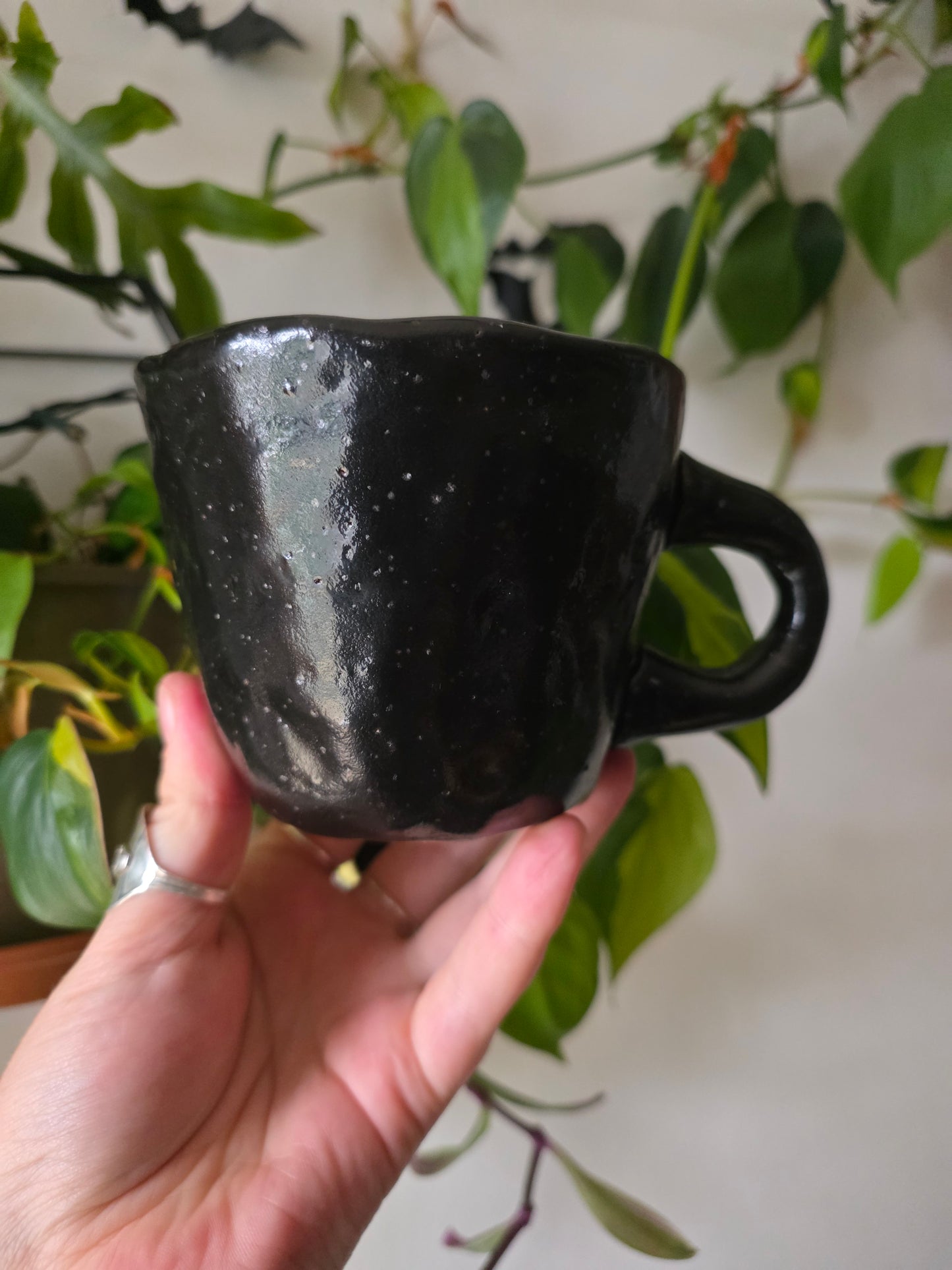 13oz Bracket Fungus Mug - Black glaze