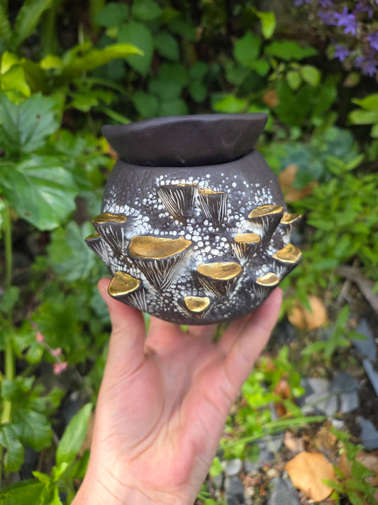 Fungus Oil Burner