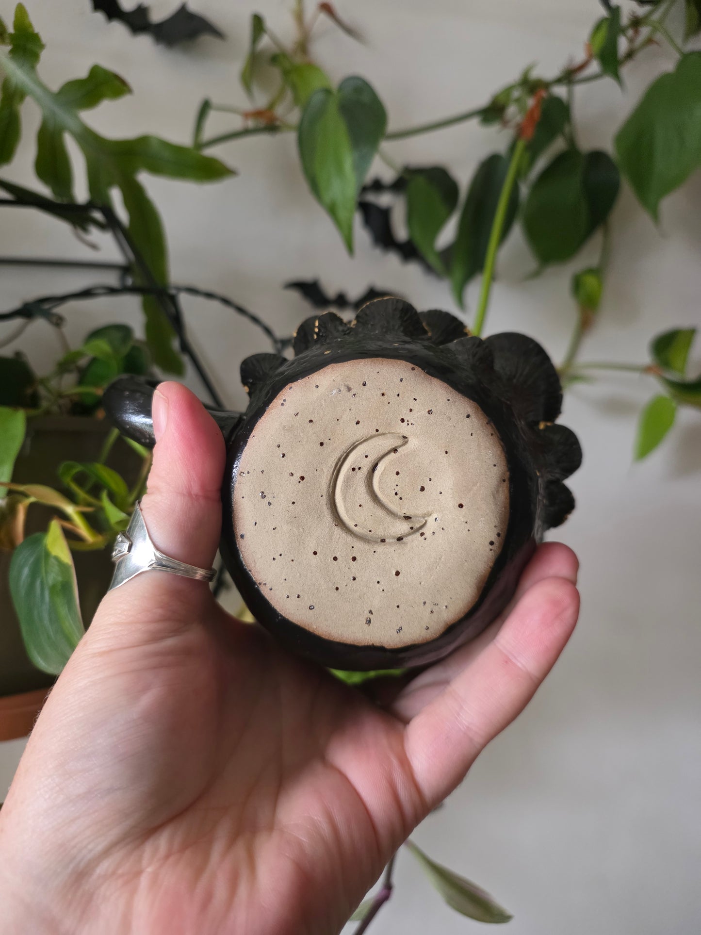13oz Bracket Fungus Mug - Black glaze