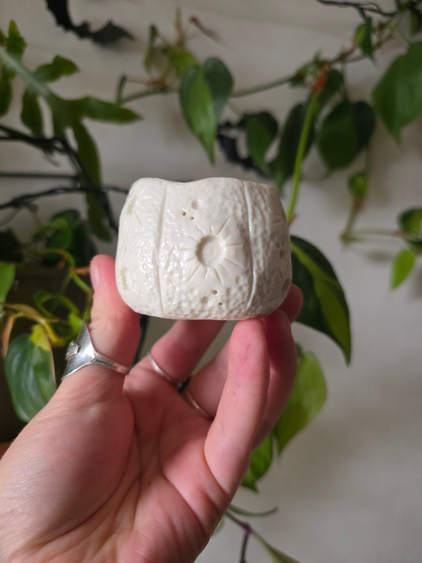 Moonkin Jack trinket pot // No.1