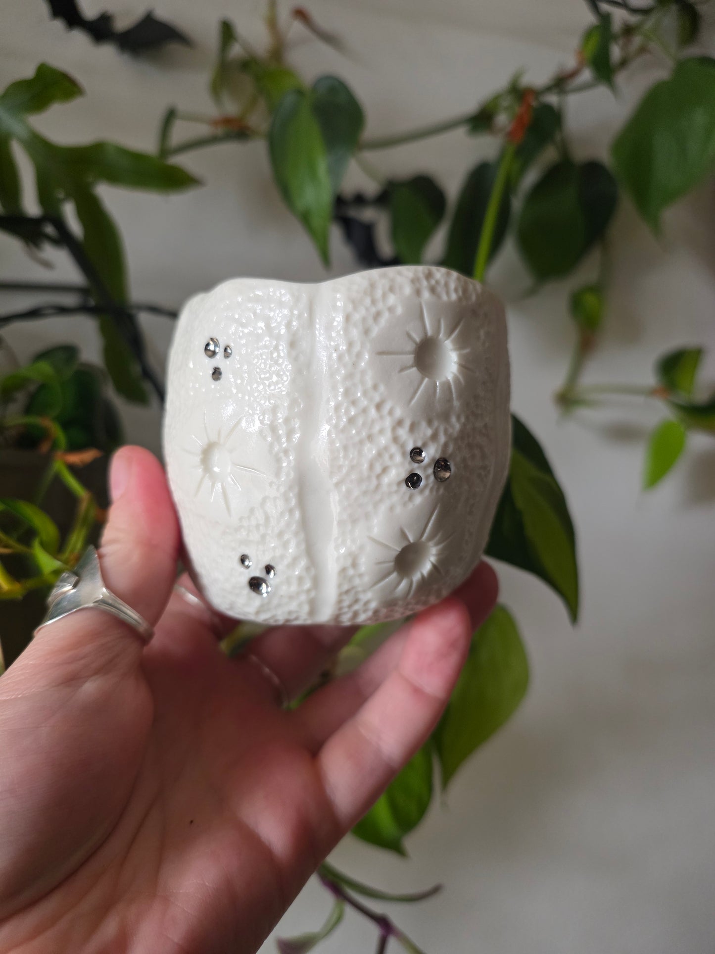 Moonkin Jack trinket pot // No.4