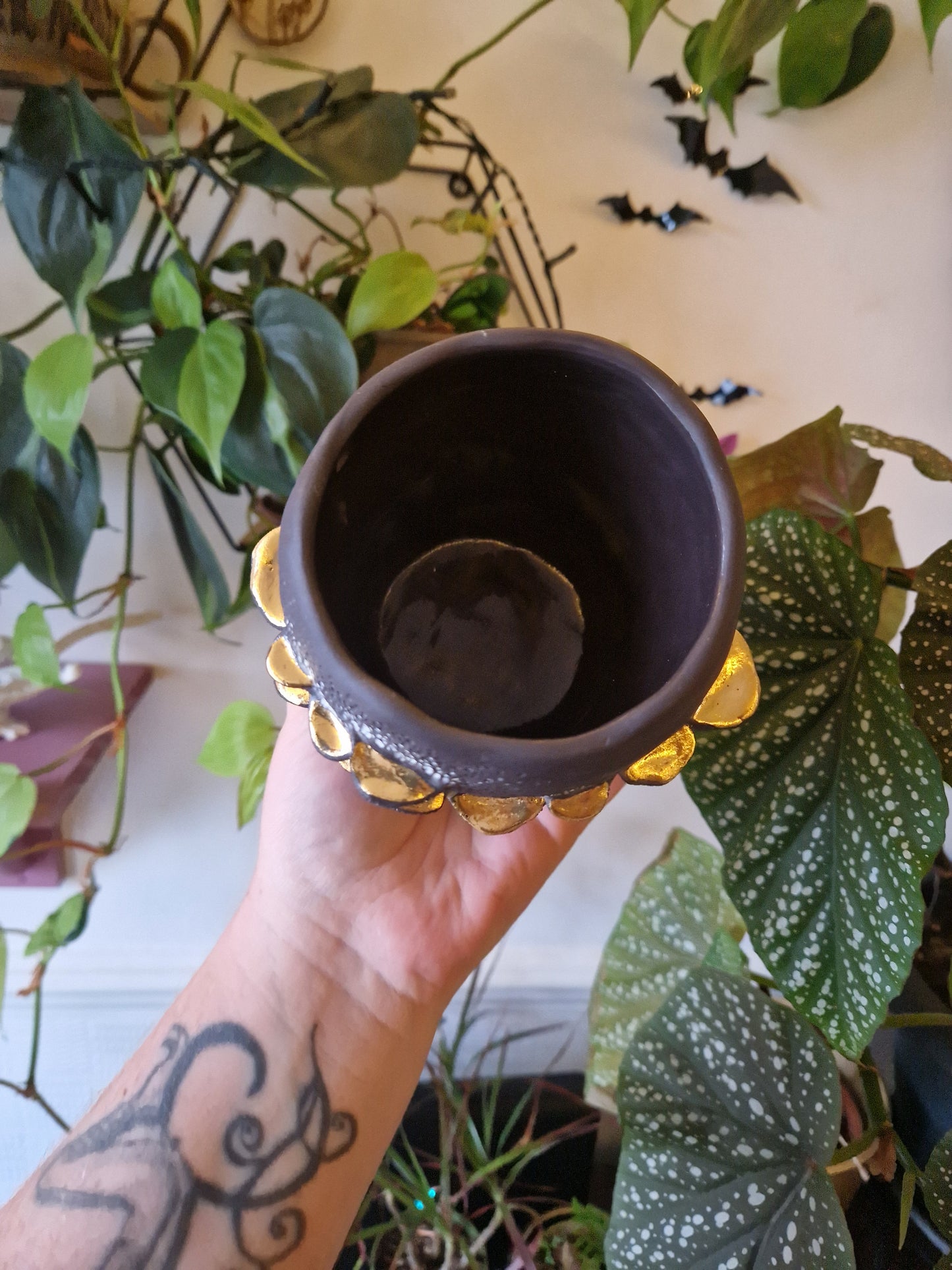 Bracket Fungus Bowl/Planter