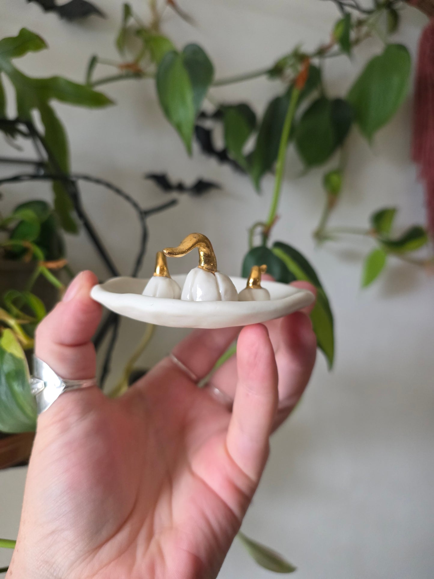 Pumpkin dish // No.2