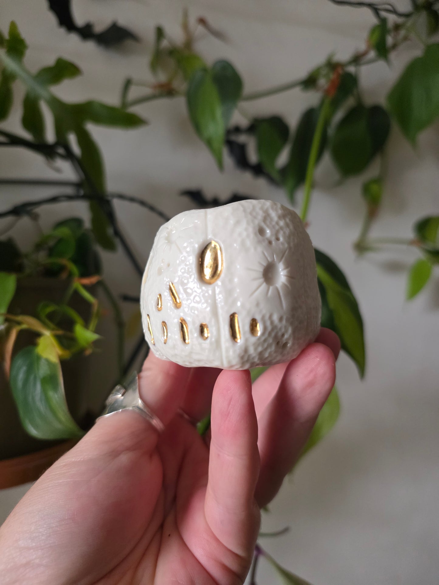 Moonkin Jack trinket pot // No.1