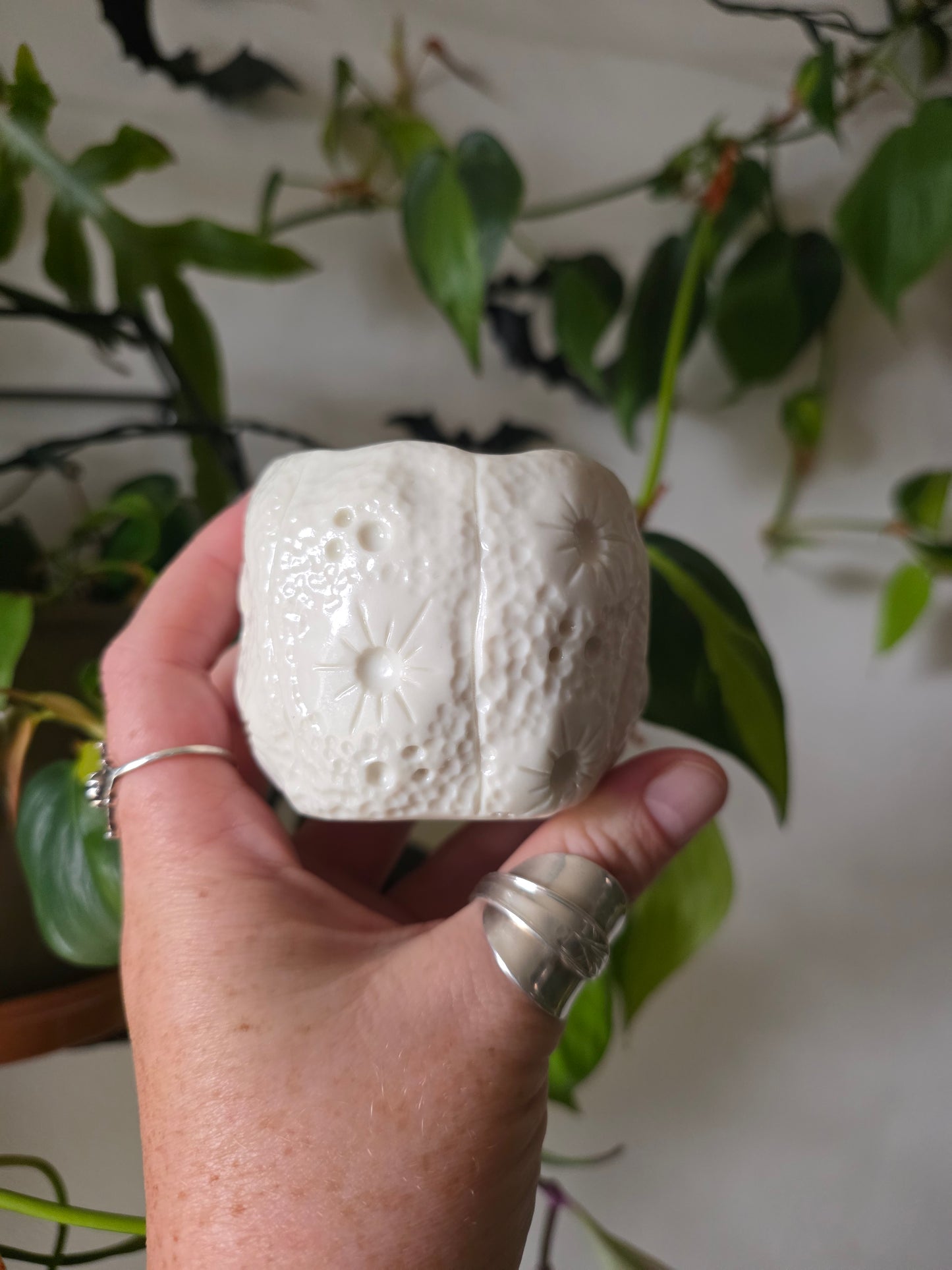 Moonkin Jack trinket pot // No.2