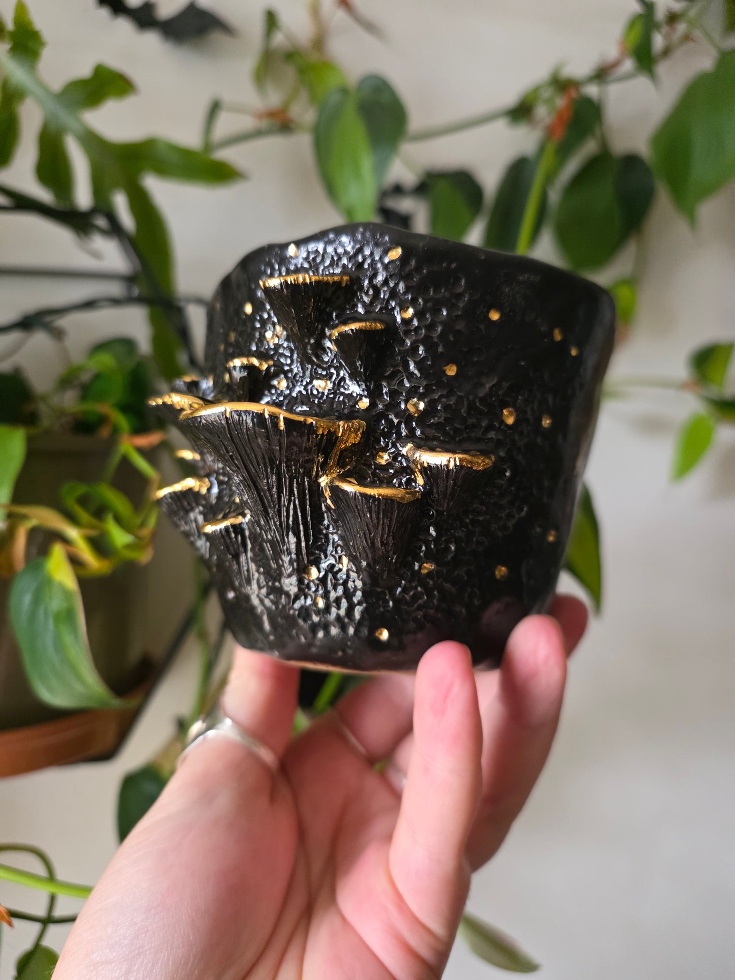 13oz Bracket Fungus Mug - Black glaze