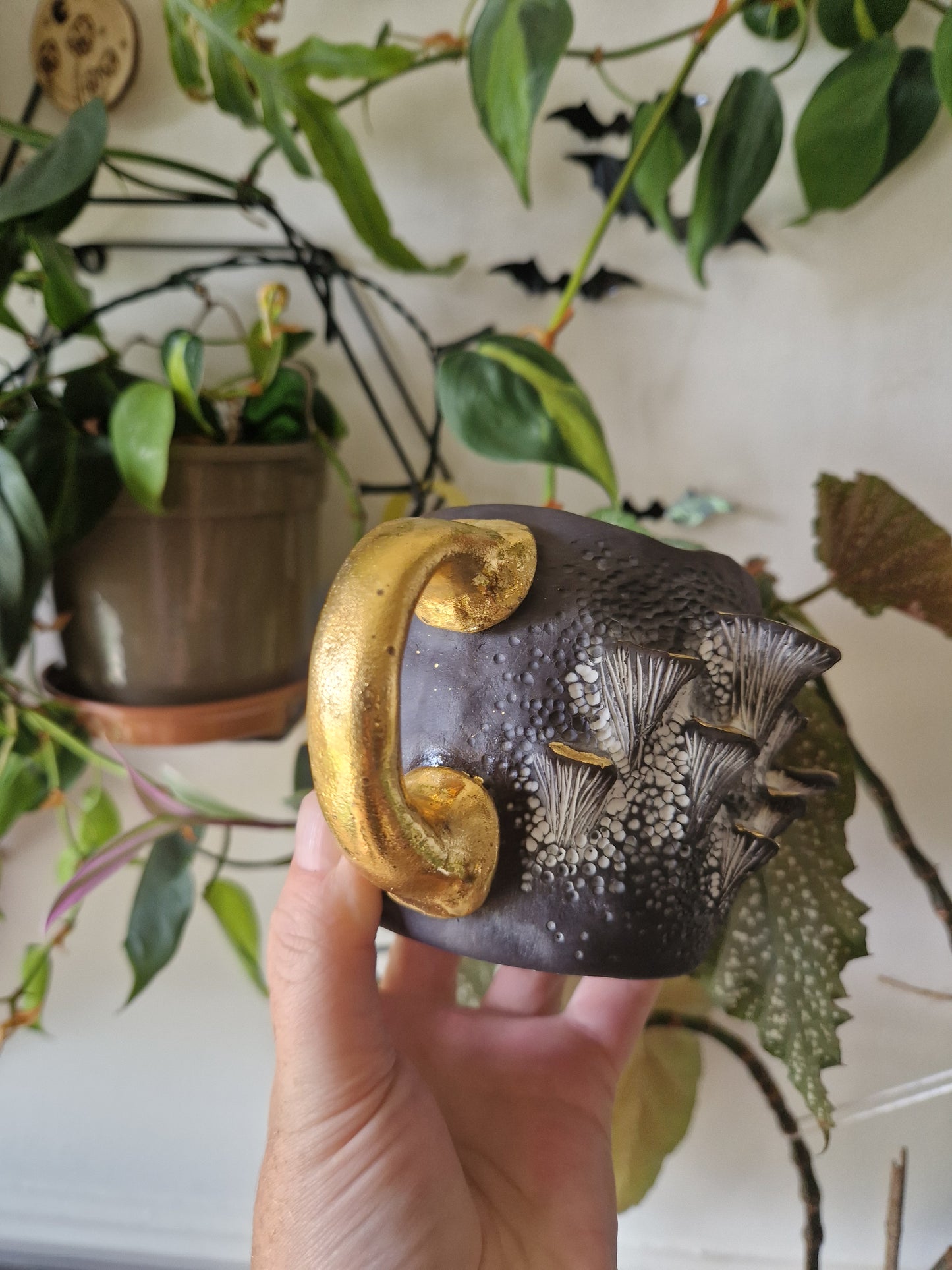 14oz Bracket Fungus Mug