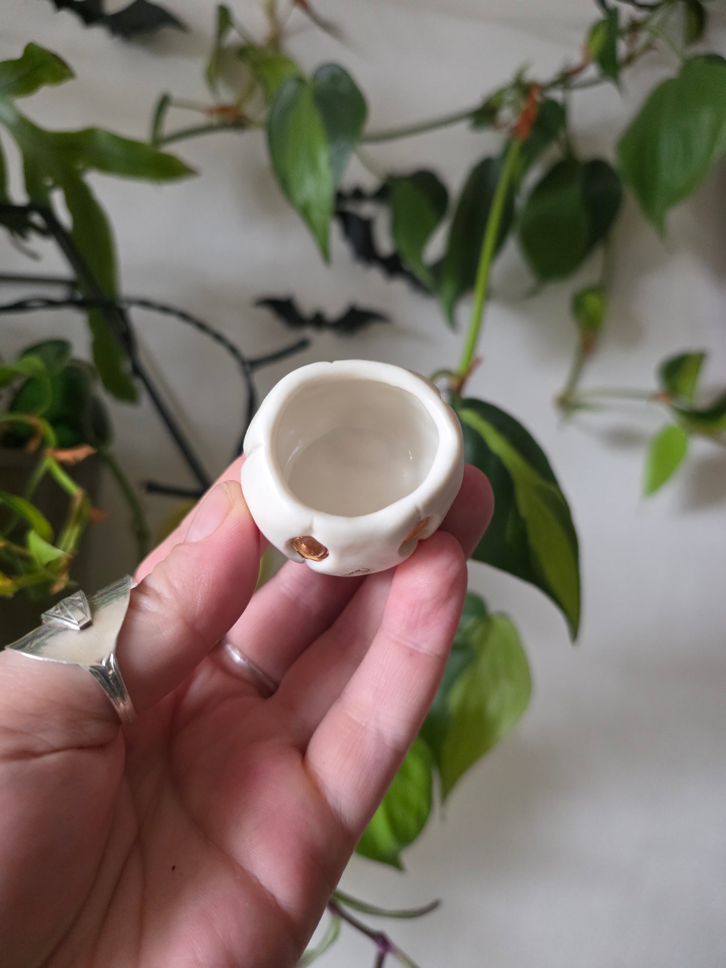 Sweet Tooth // Pumpkin Jack Jar - Extra Small