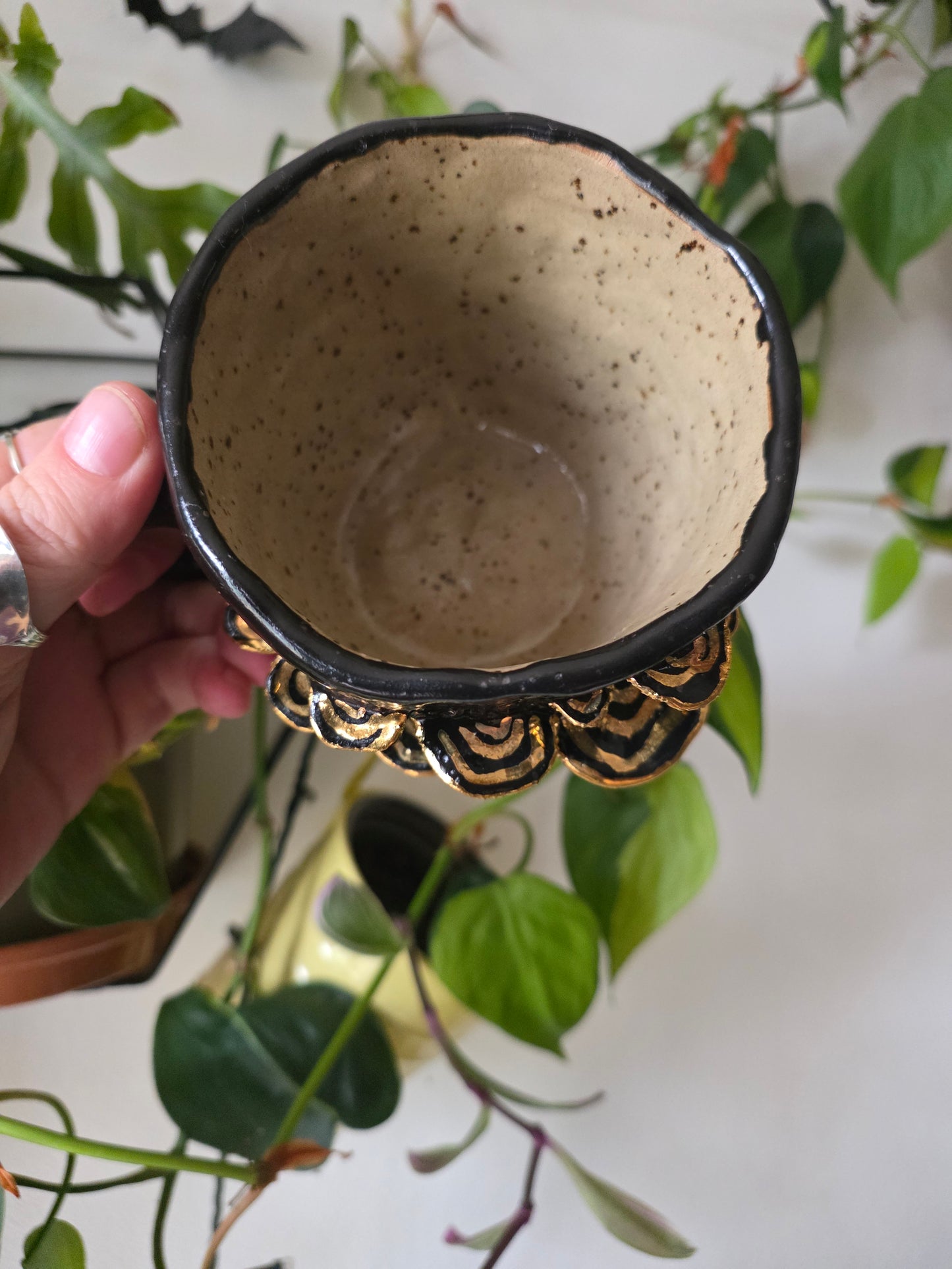 13oz Bracket Fungus Mug - Black glaze