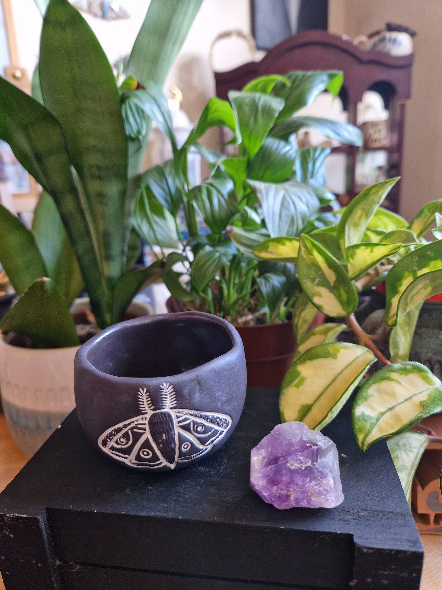 Mini Moth Trinket Pot #2